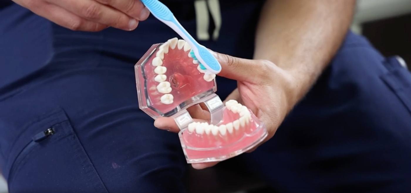 Garner dentist brushing a denture with a toothbrush