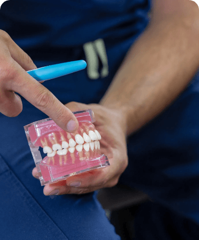 Dentist pointing to a model of the teeth